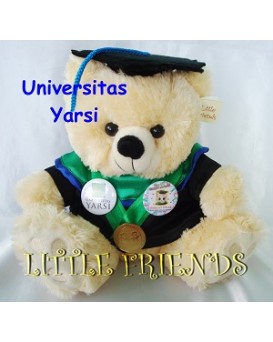 Boneka Wisuda Universitas Yarsi - Ekonomi (30 cm)